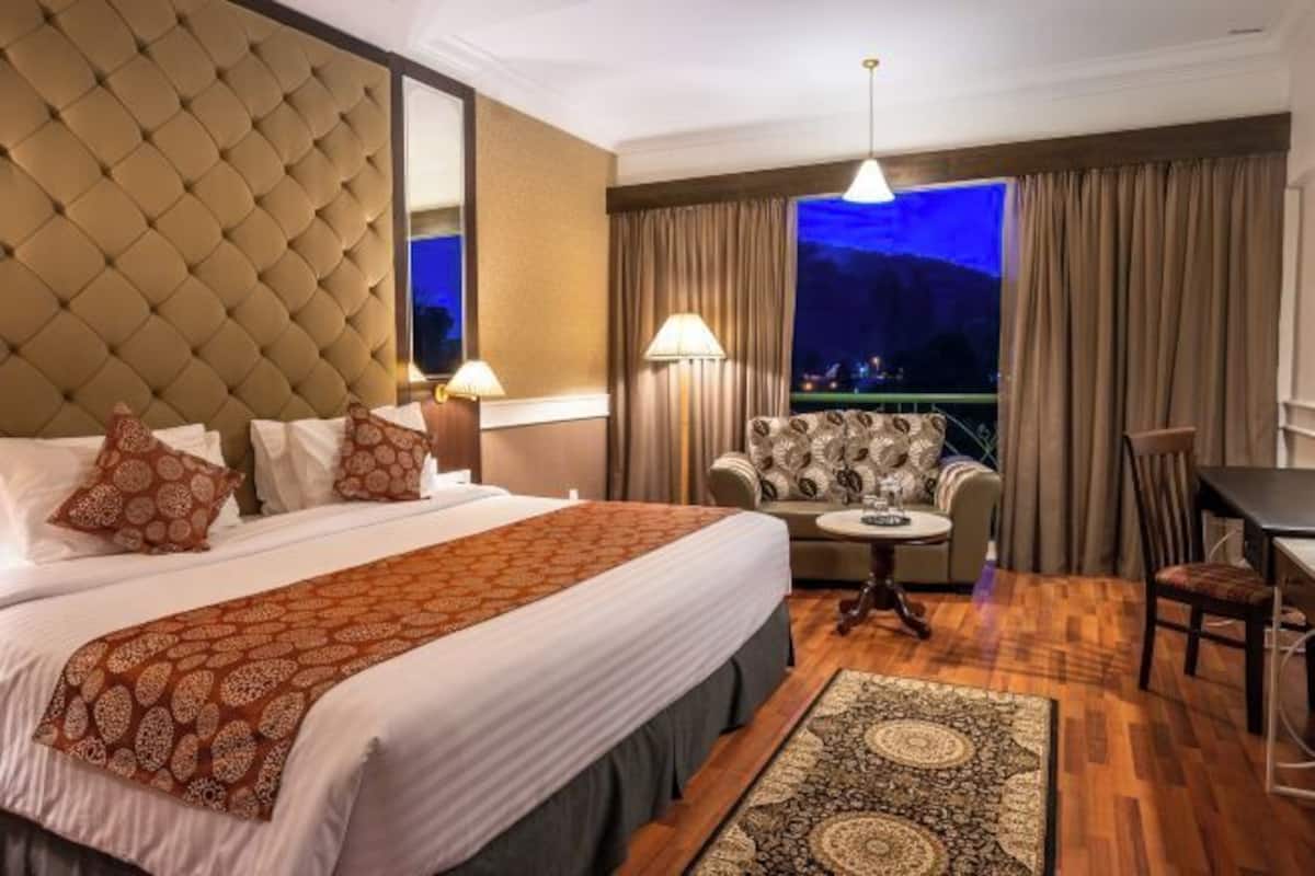 Minibar, in-room safe, iron/ironing board, rollaway beds