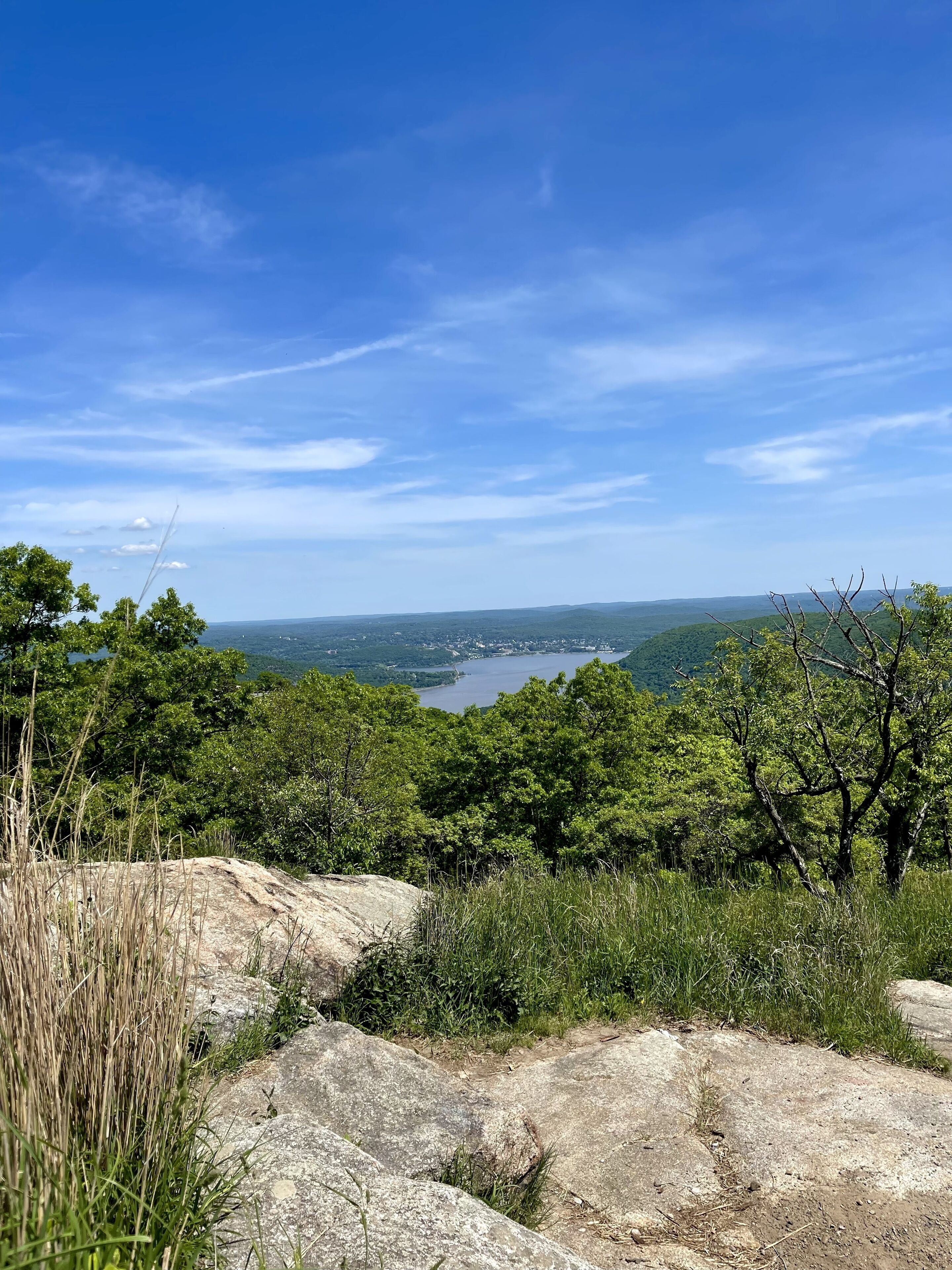 A natural landscape with a lake, trees, and rocky terrain.