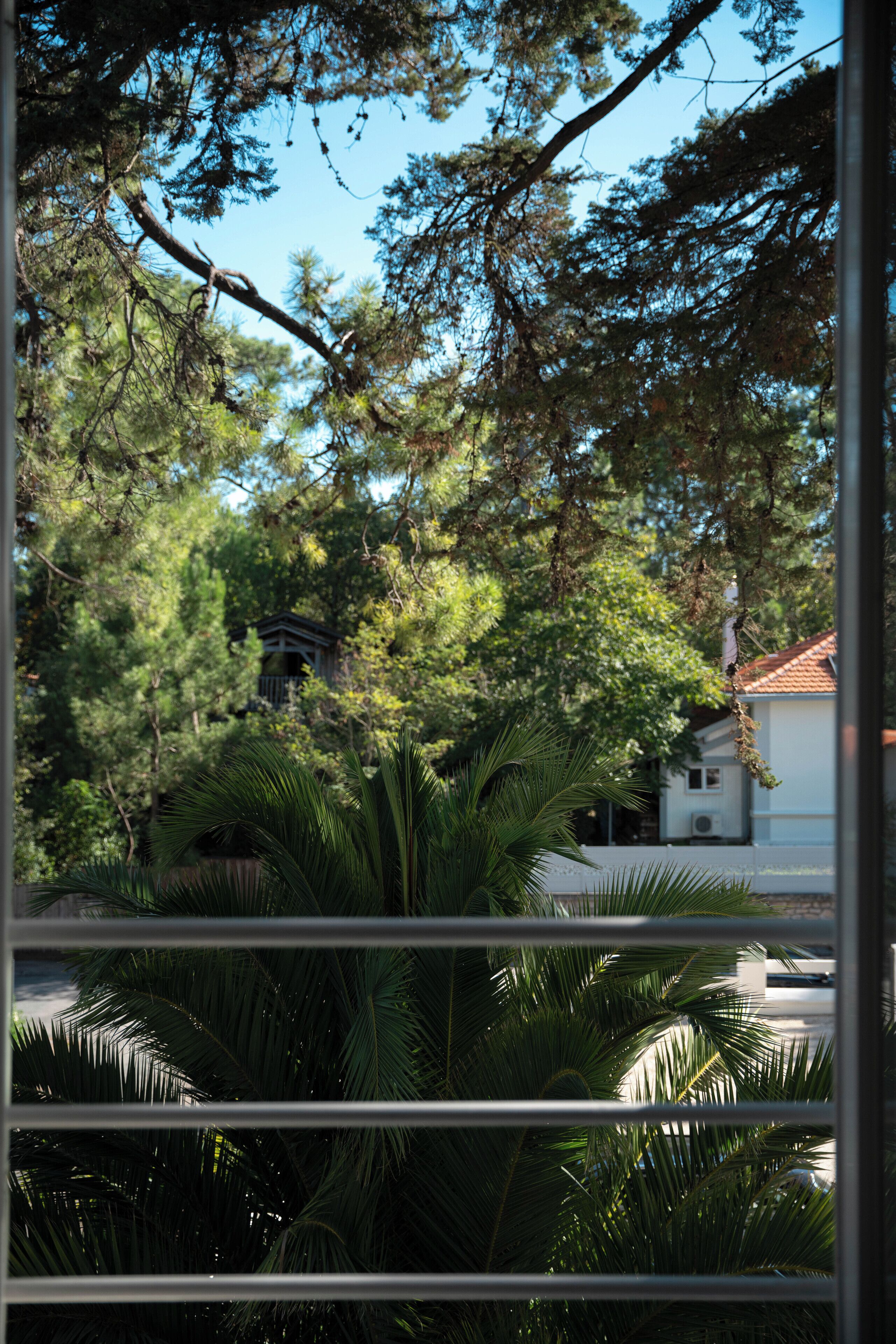 Premium Double Room, Garden View | Minibar, iron/ironing board, free WiFi, bed sheets