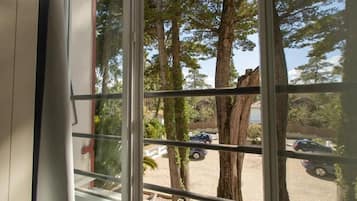 Superior Double Room | Minibar, iron/ironing board, free WiFi, bed sheets