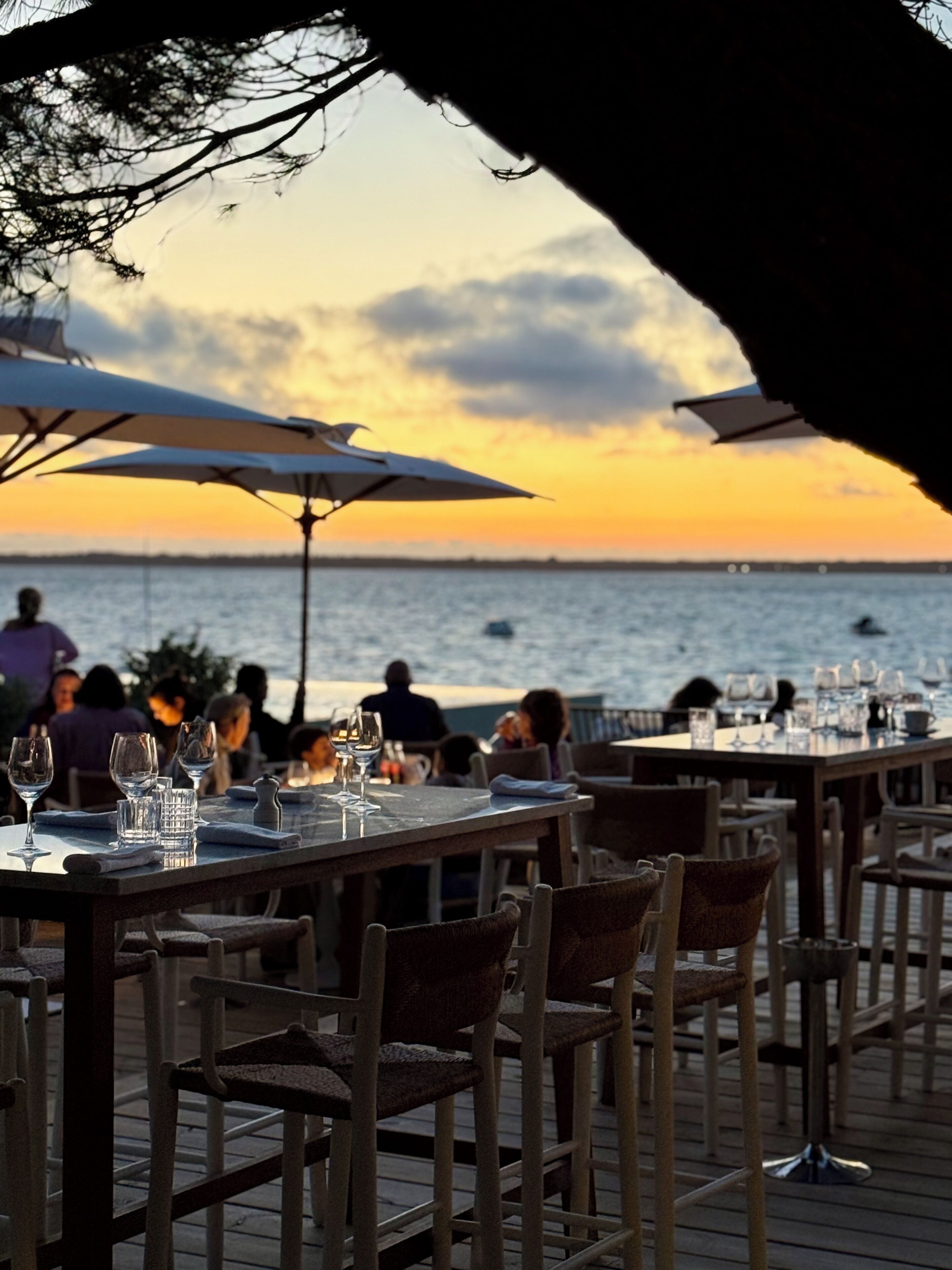 تقديم ا لإفطار، خيارت الطبخ المحلي والعالمي، إطلالات على الشاطئ