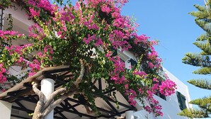 A building with a white facade, a covered entrance with a staircase, and pink bougainvillea flowers. - Oscar Hotel (Zakynthos)