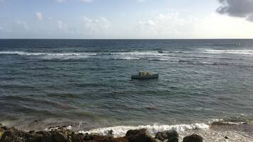 Una costa rocosa con olas rompiendo sobre la playa.