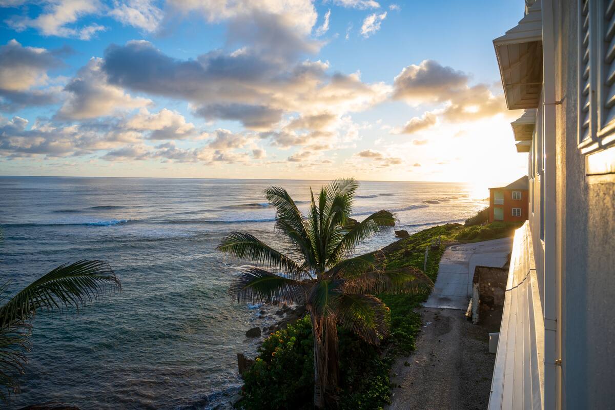 A coastal view with a palm tree and ocean waves.