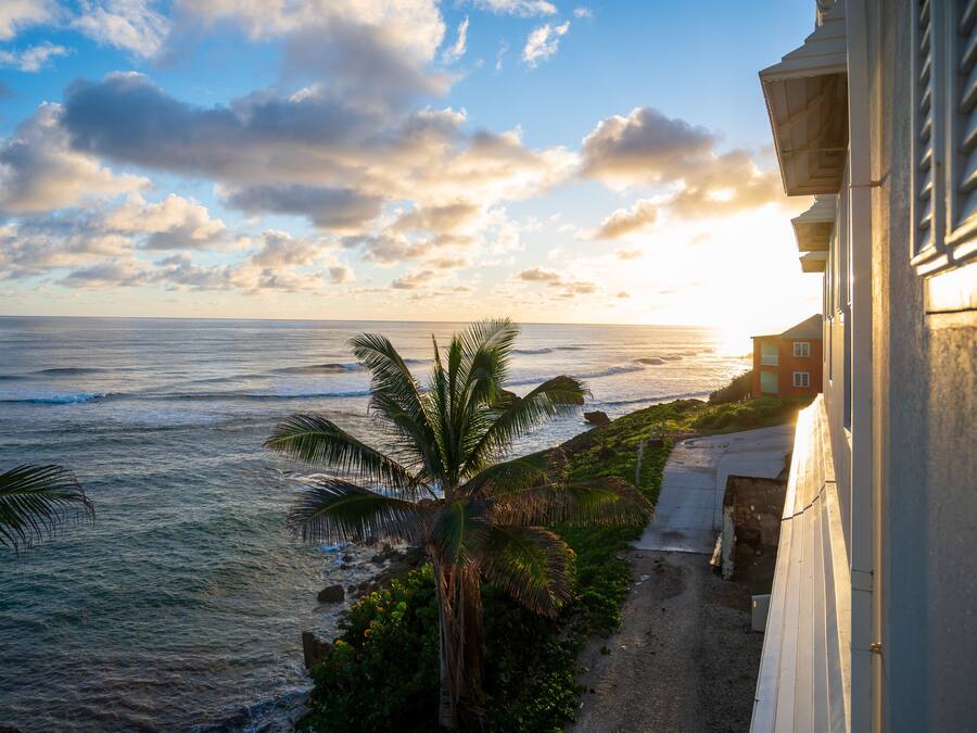 Sábanas de algodón egipcio, ropa de cama de alta calidad y cubrecamas