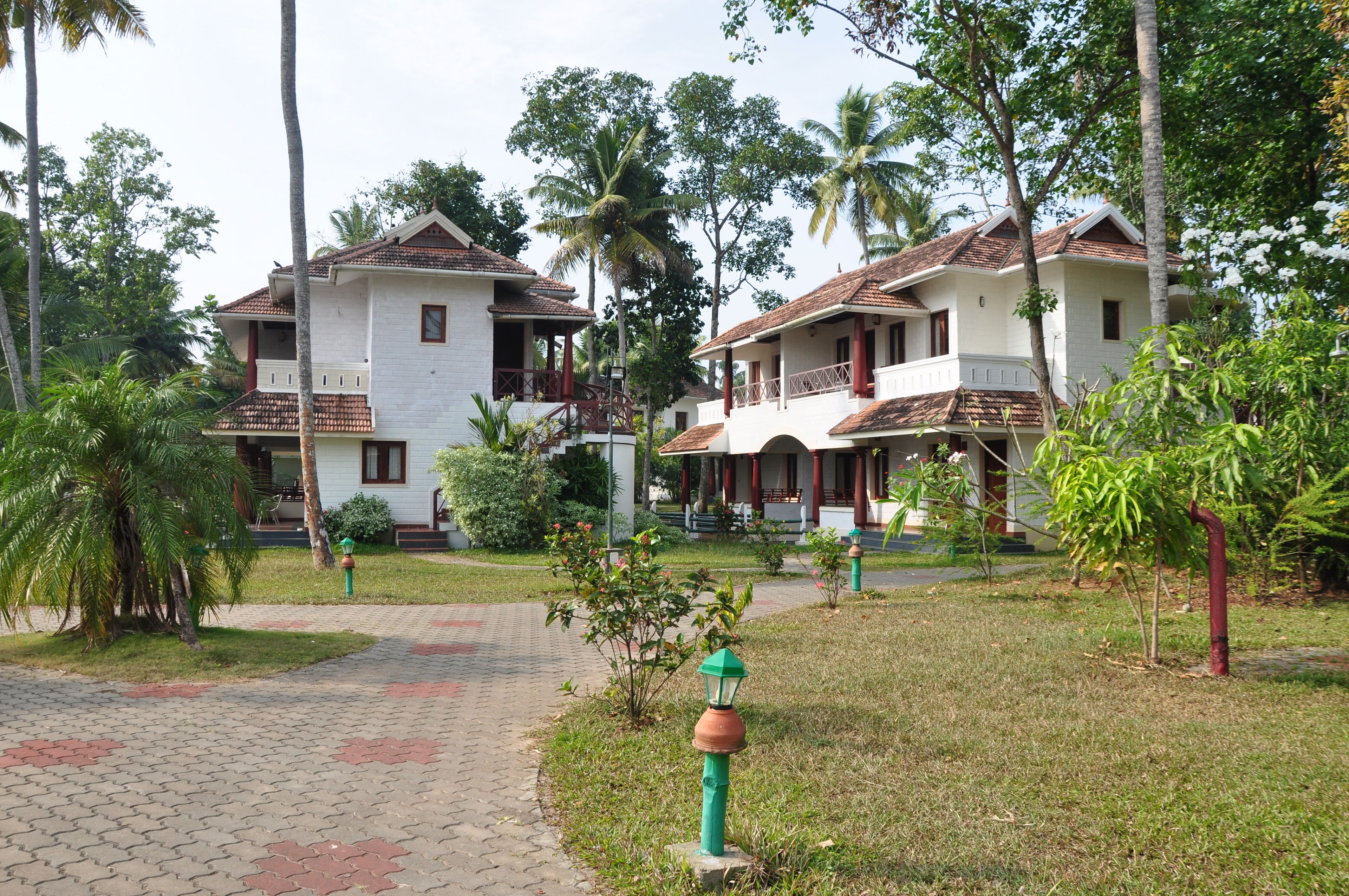 A bungalow-style hotel with a paved walkway, surrounded by lush greenery and palm trees.