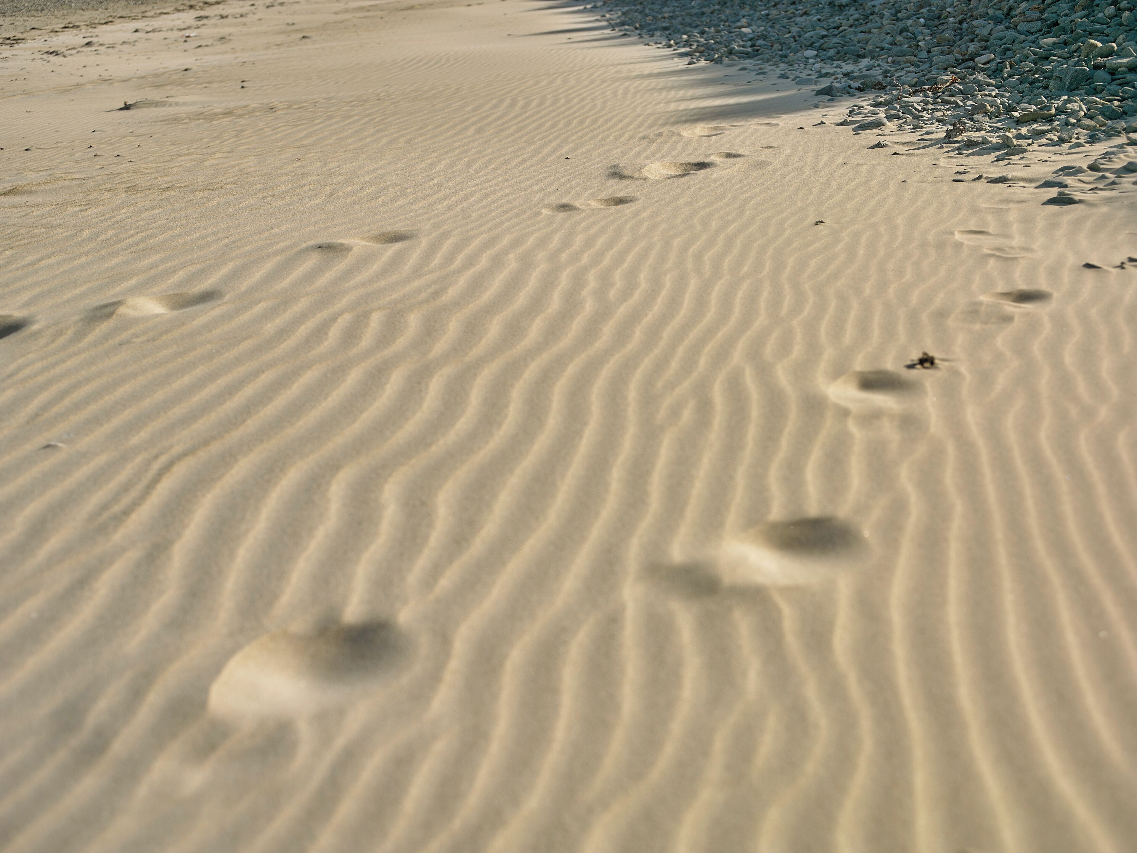 Une plage de sable avec des empreintes de pas et des galets.