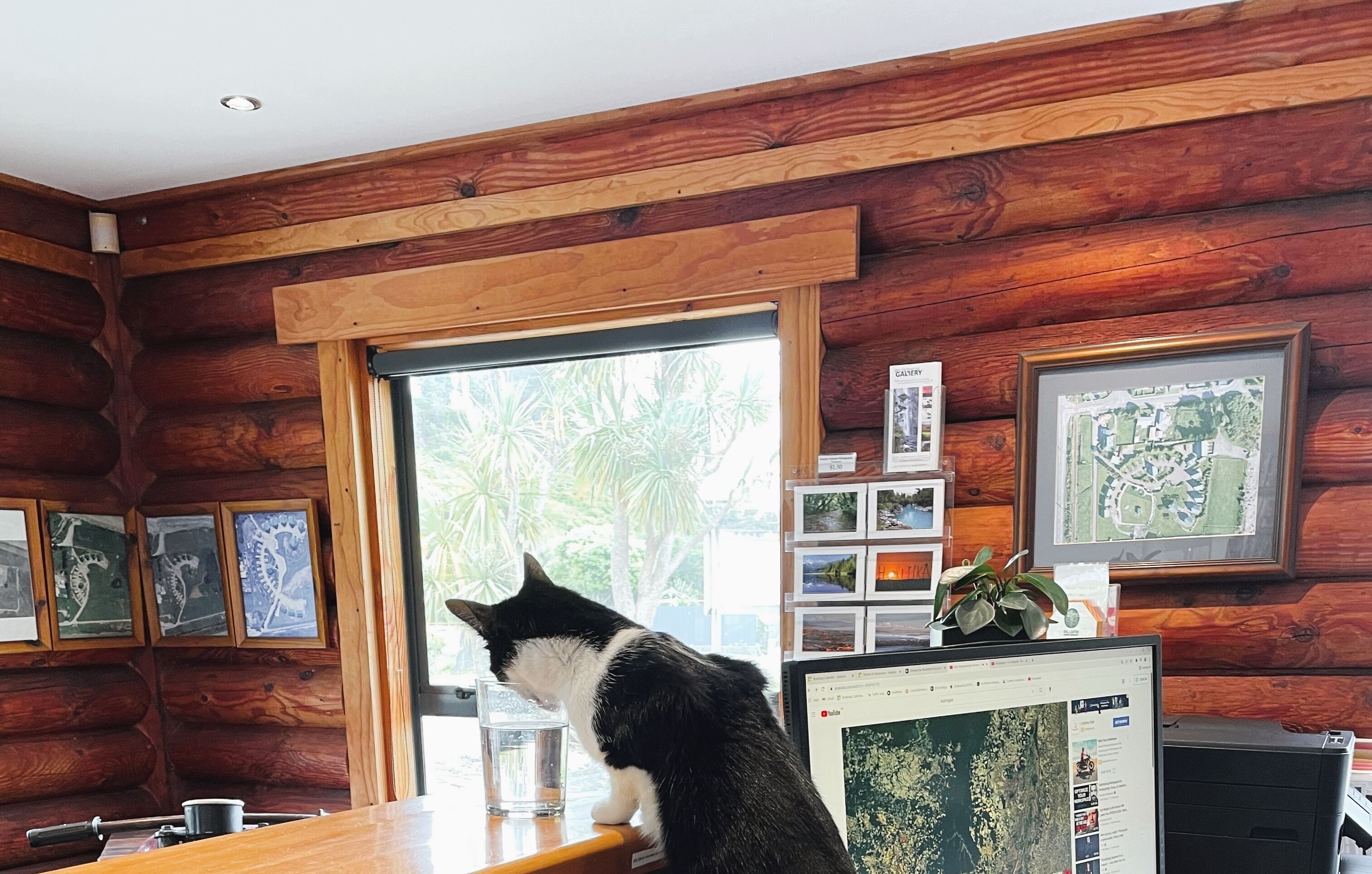 A wooden cabin interior with a cat on a table, a computer, and framed pictures on the wall.