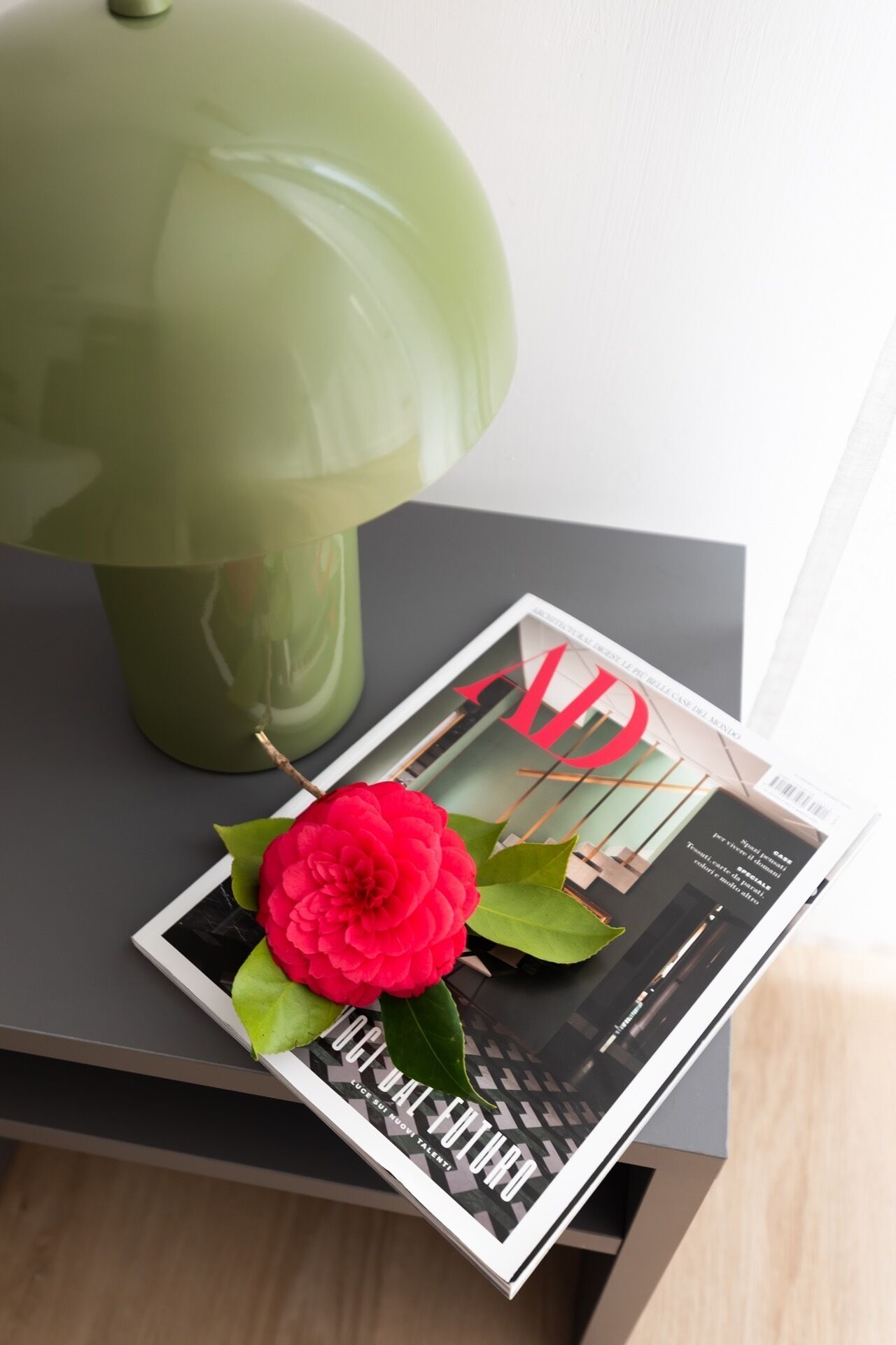 Una rivista con un fiore rosso su un tavolo vicino a una lampada verde.
