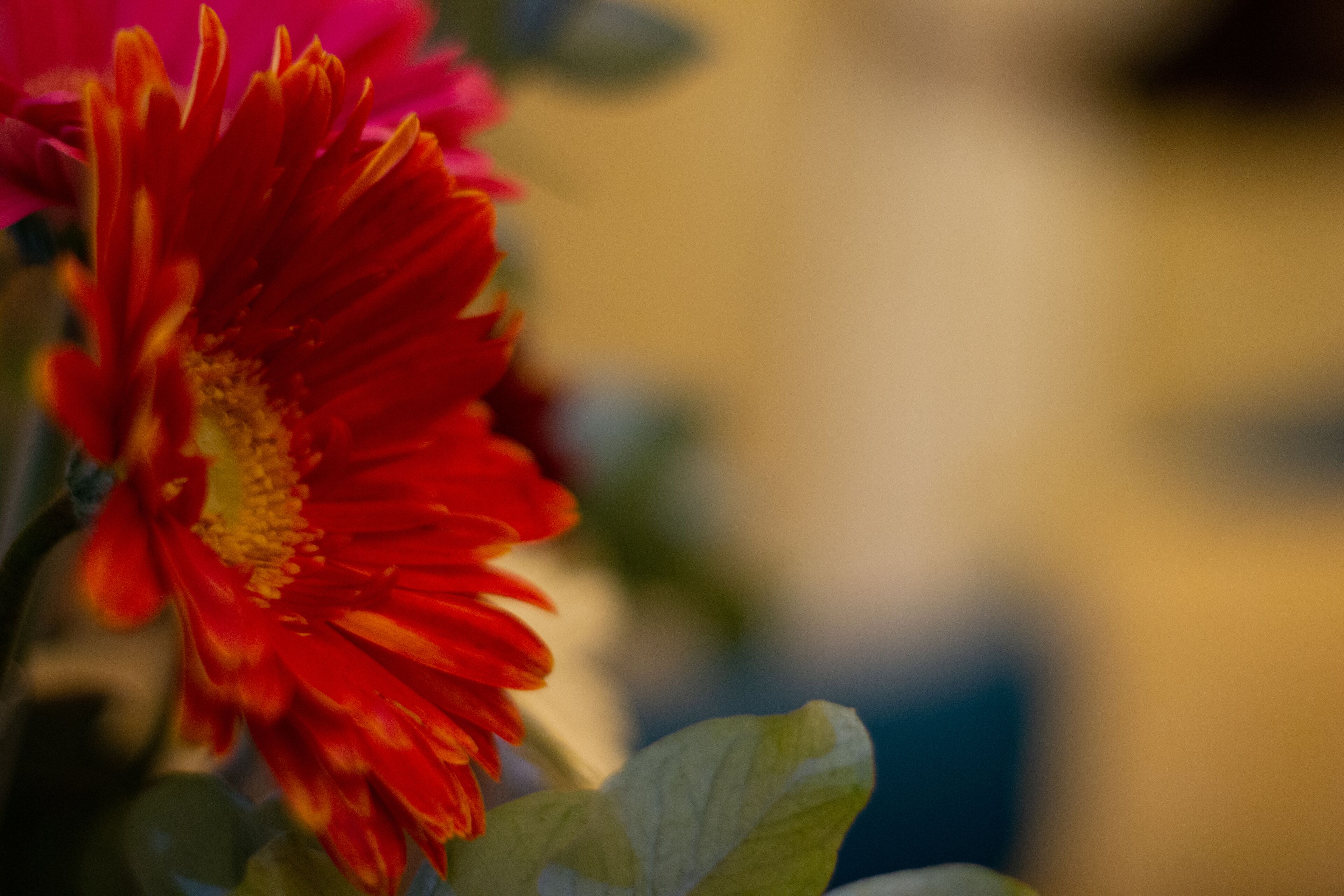 Foto - Hotel Las Marias