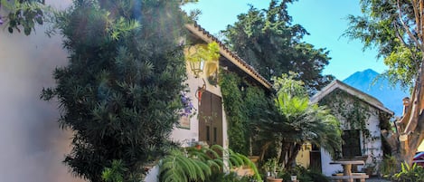 A courtyard with a white building, potted plants, a bench, and a mountain in the background.