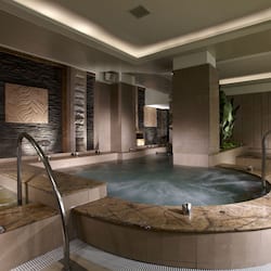 Relax in the luxurious spa area featuring a large hot tub and a smaller soaking area.