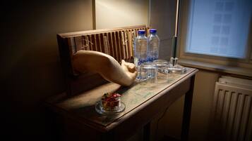 Comfort Double Room, 2 Twin Beds | Premium bedding, down comforters, Select Comfort beds