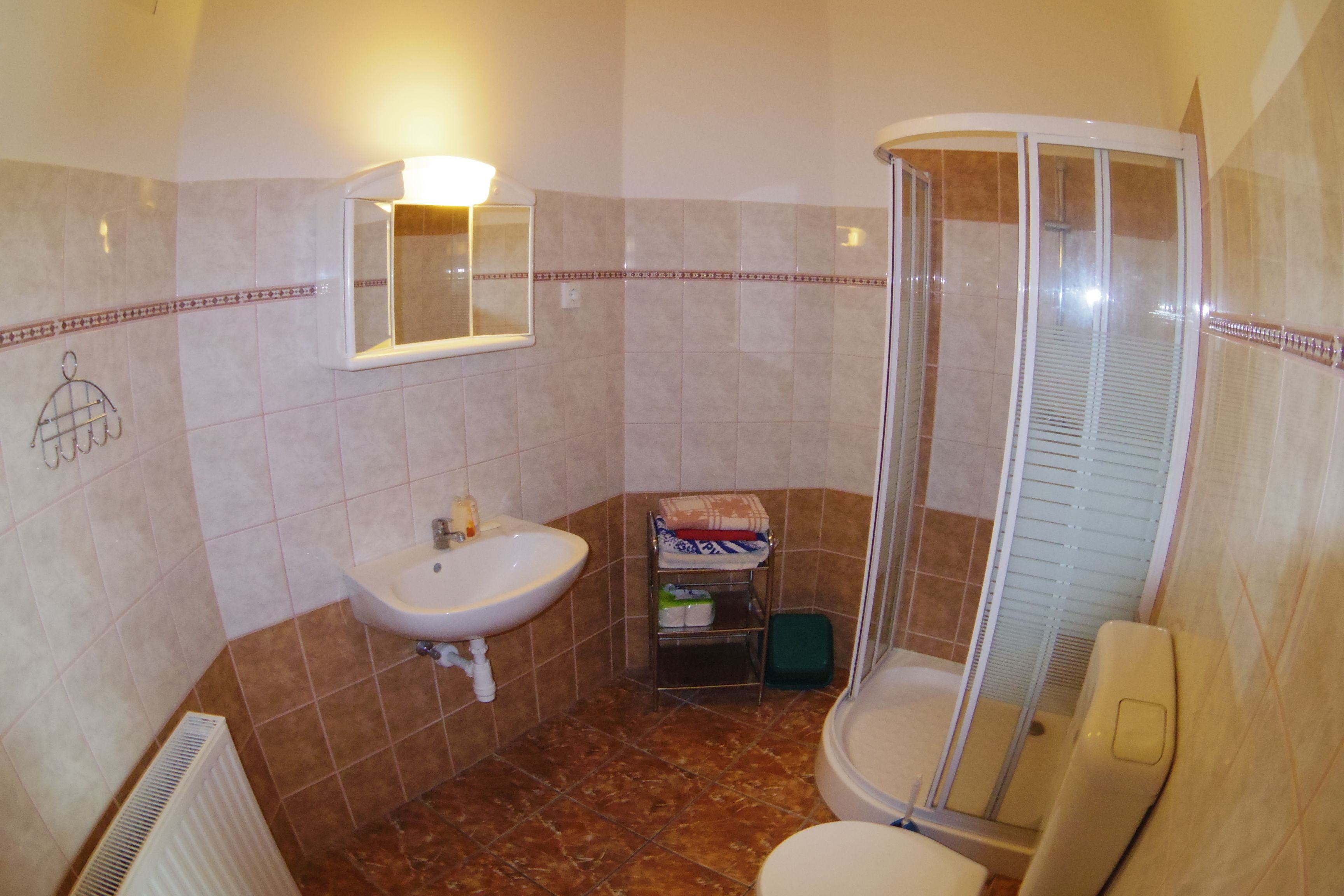 shower, rainfall showerhead, free toiletries, hair dryer