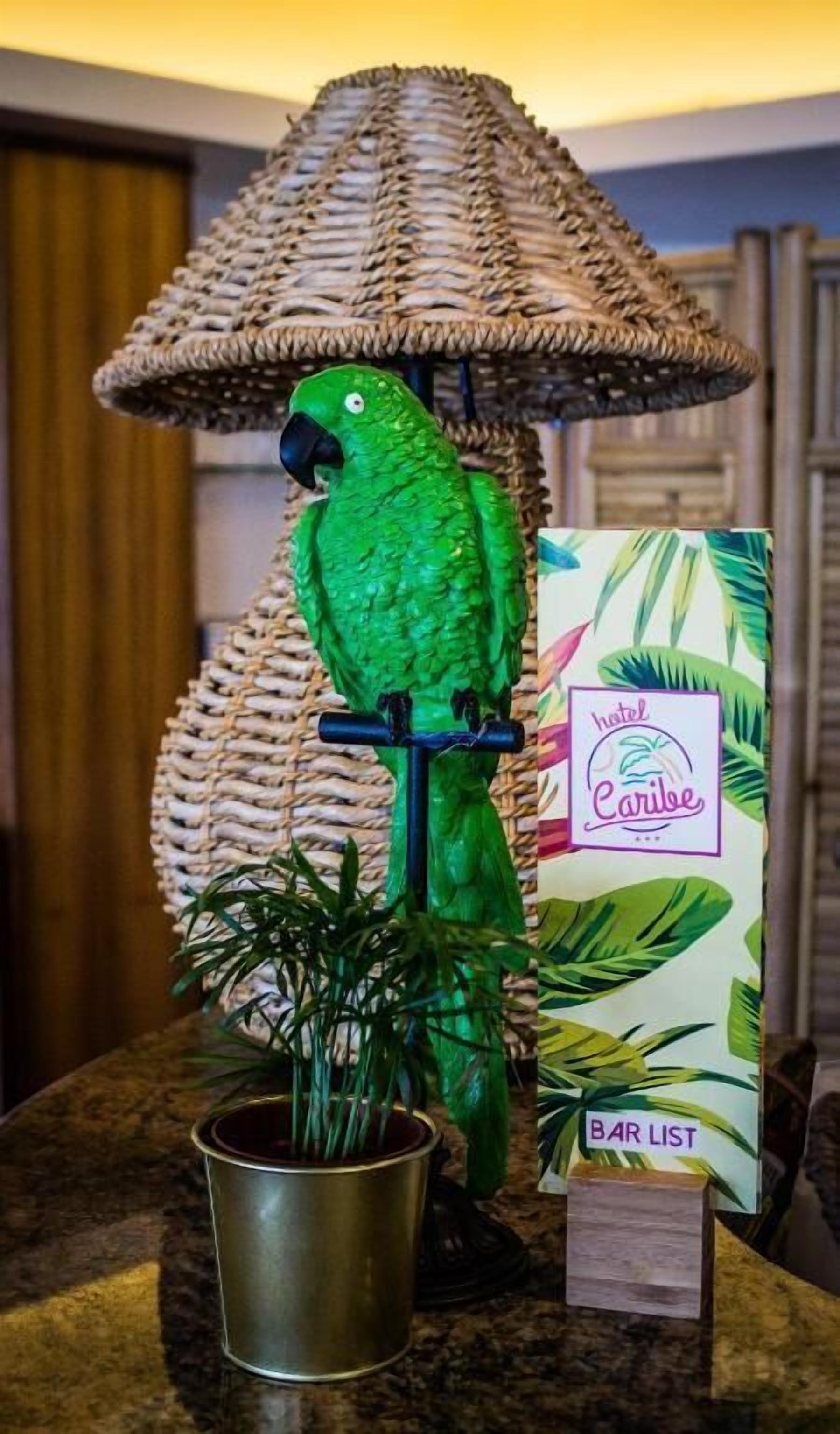 Ein grüner Papagei sitzt auf einem schwarzen Ständer unter einer gewebten Lampe, im Vordergrund befindet sich ein Blumentopf und ein Tresenangebot.