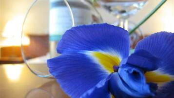Close-up de uma flor de íris azul com centro amarelo, sobre uma superfície refletora.