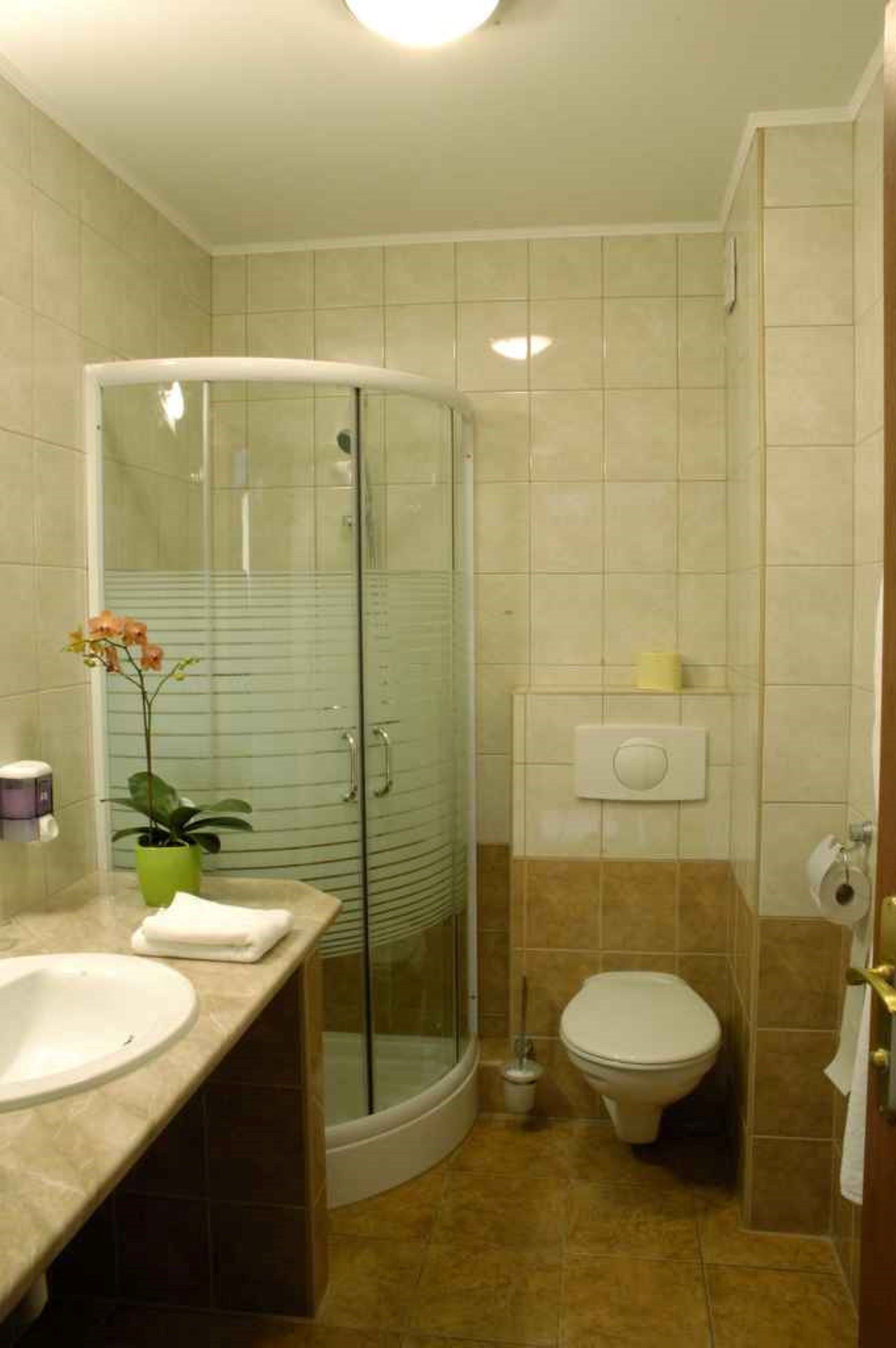 A bathroom with a glass shower enclosure, a toilet, and a sink.