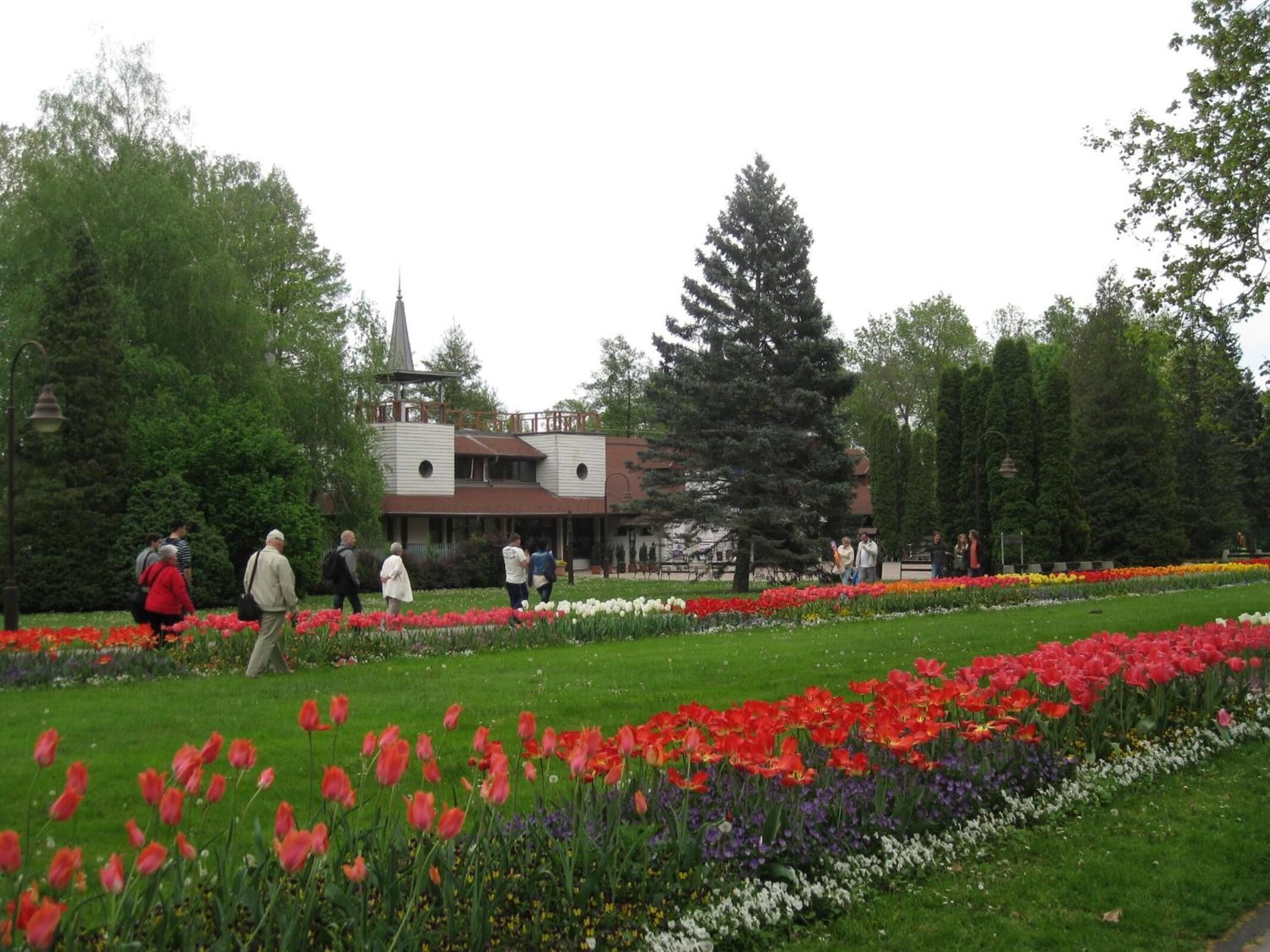 A garden with a variety of flowers and a building with a tower in the background.