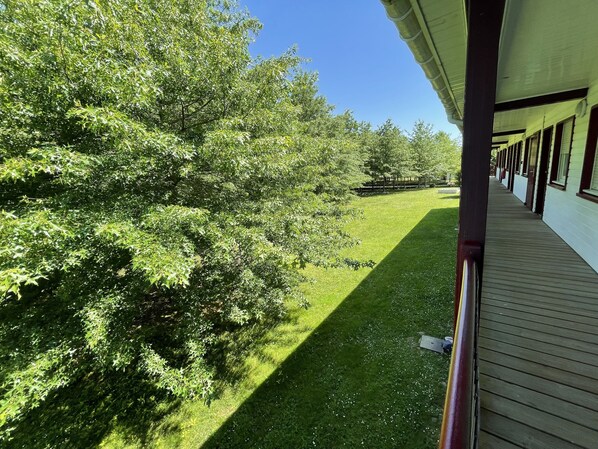 A covered outdoor area with a wooden deck and a row of windows.