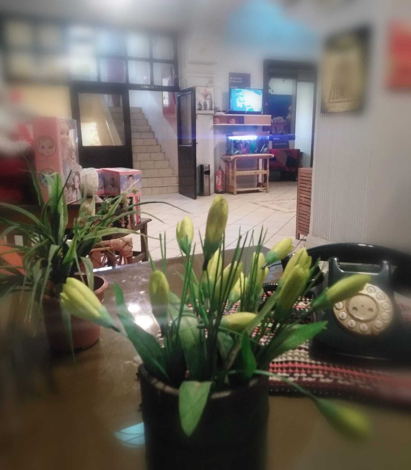 Foto - New Park Hotel