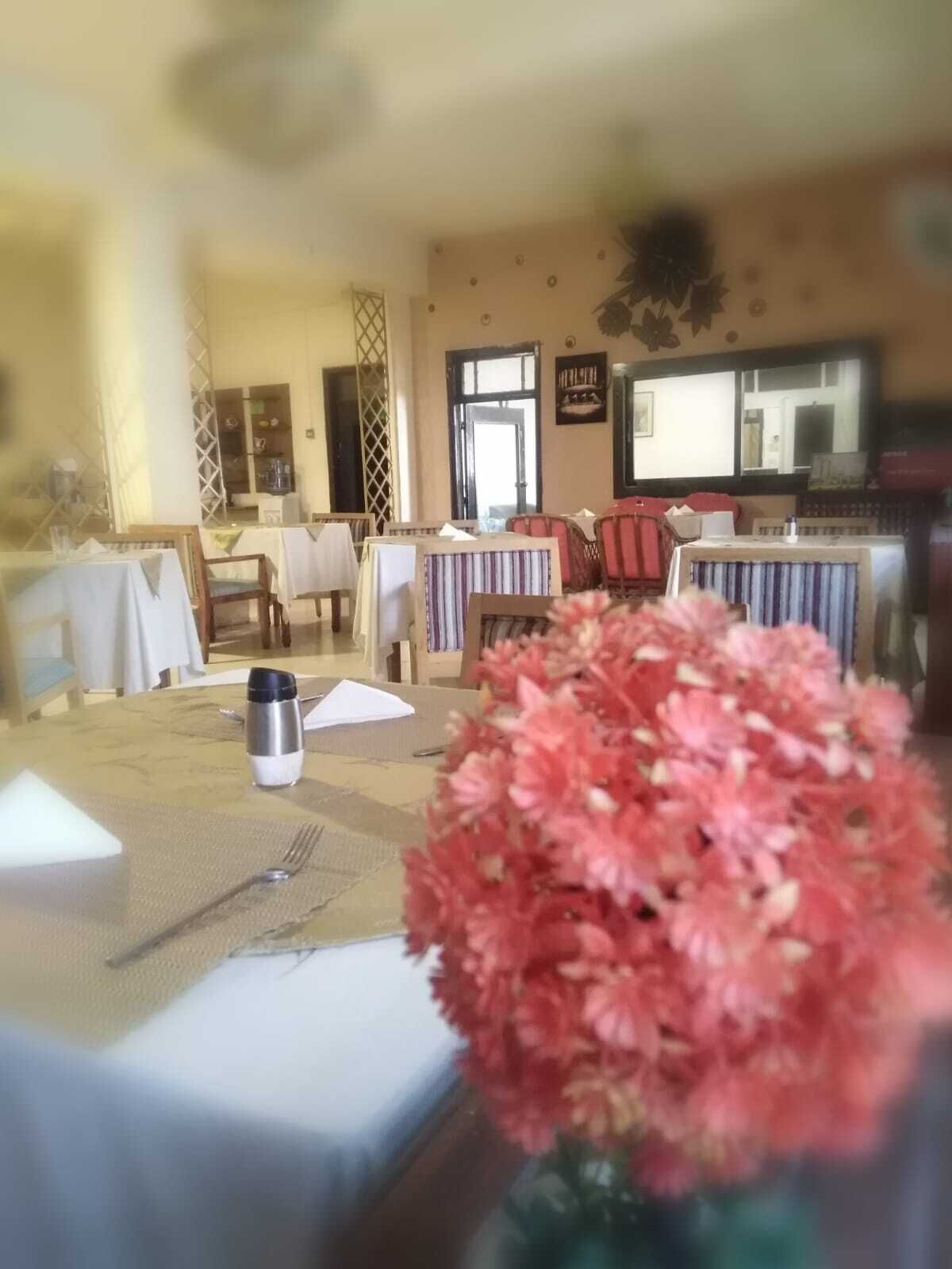 Foto - New Park Hotel