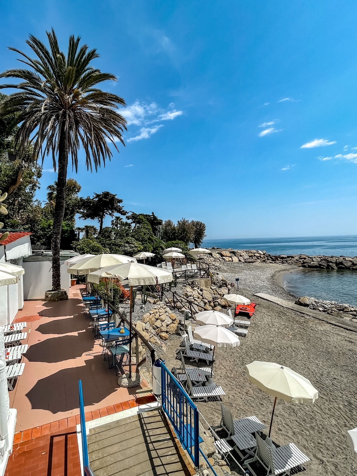 A beachside terrace with outdoor seating, palm trees, and a view of the sea.