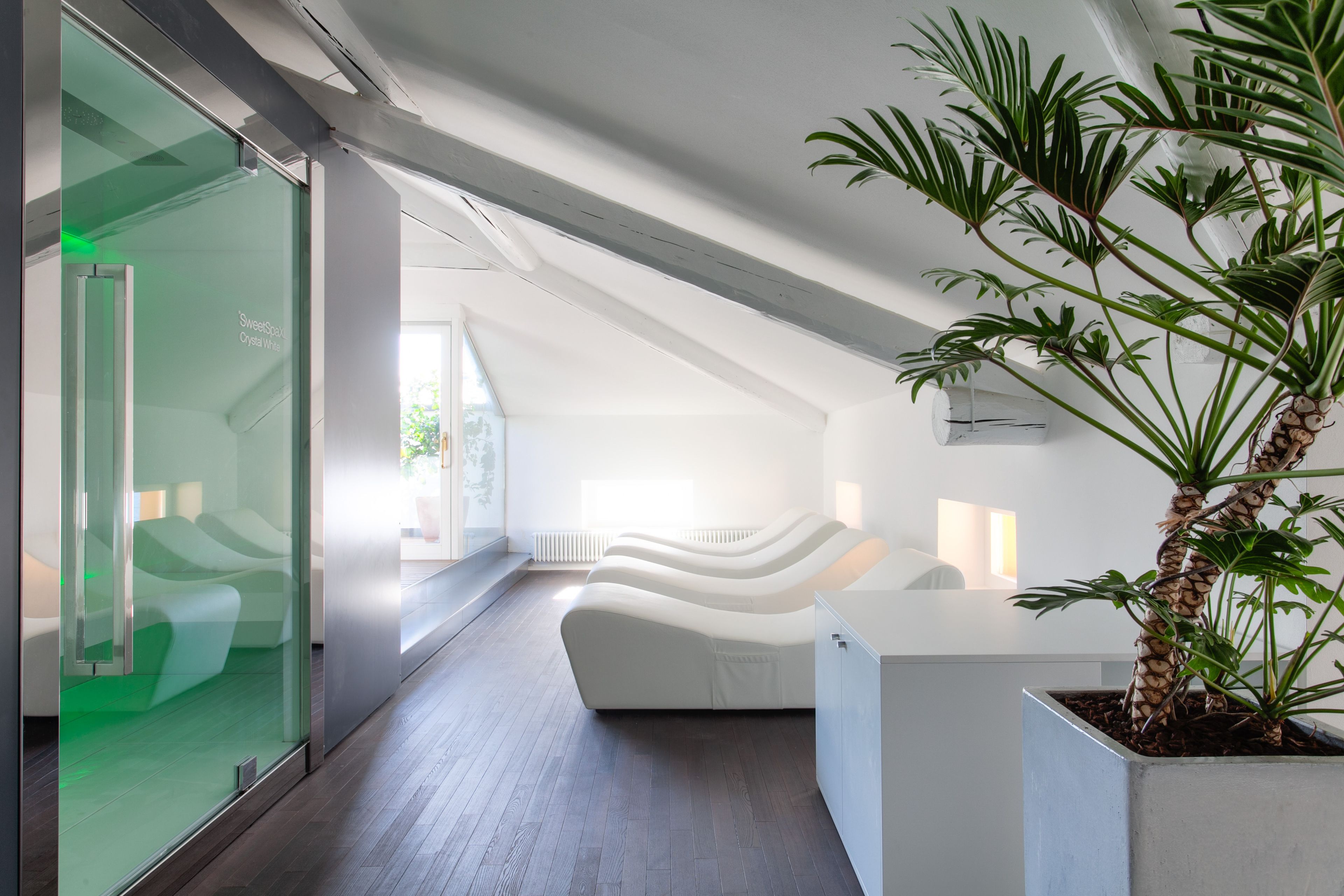 Un intérieur moderne avec un comptoir d’accueil blanc aux lignes courbes, un mur de verre et une plante en pot.