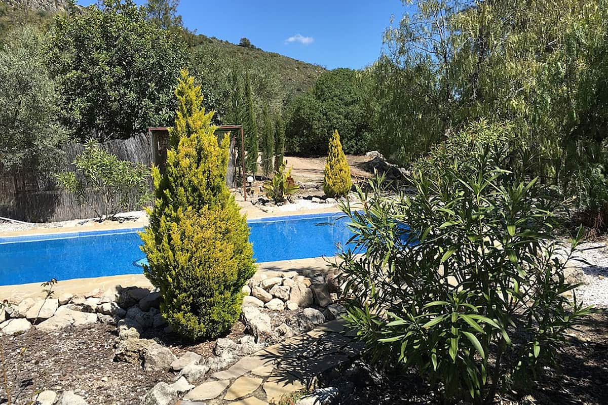 A pool surrounded by rocks and greenery, with a mountainous backdrop.