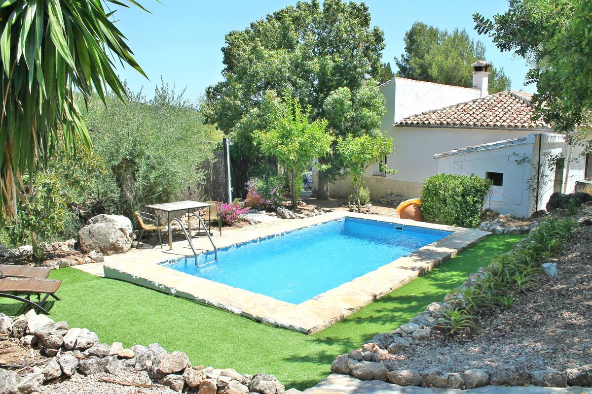 A rectangular swimming pool with a stone border, surrounded by a well-maintained lawn and various plants.