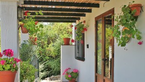 Un espacio exterior cubierto con plantas en macetas y una puerta que da a un jardín.