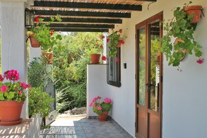 Terraço/pátio