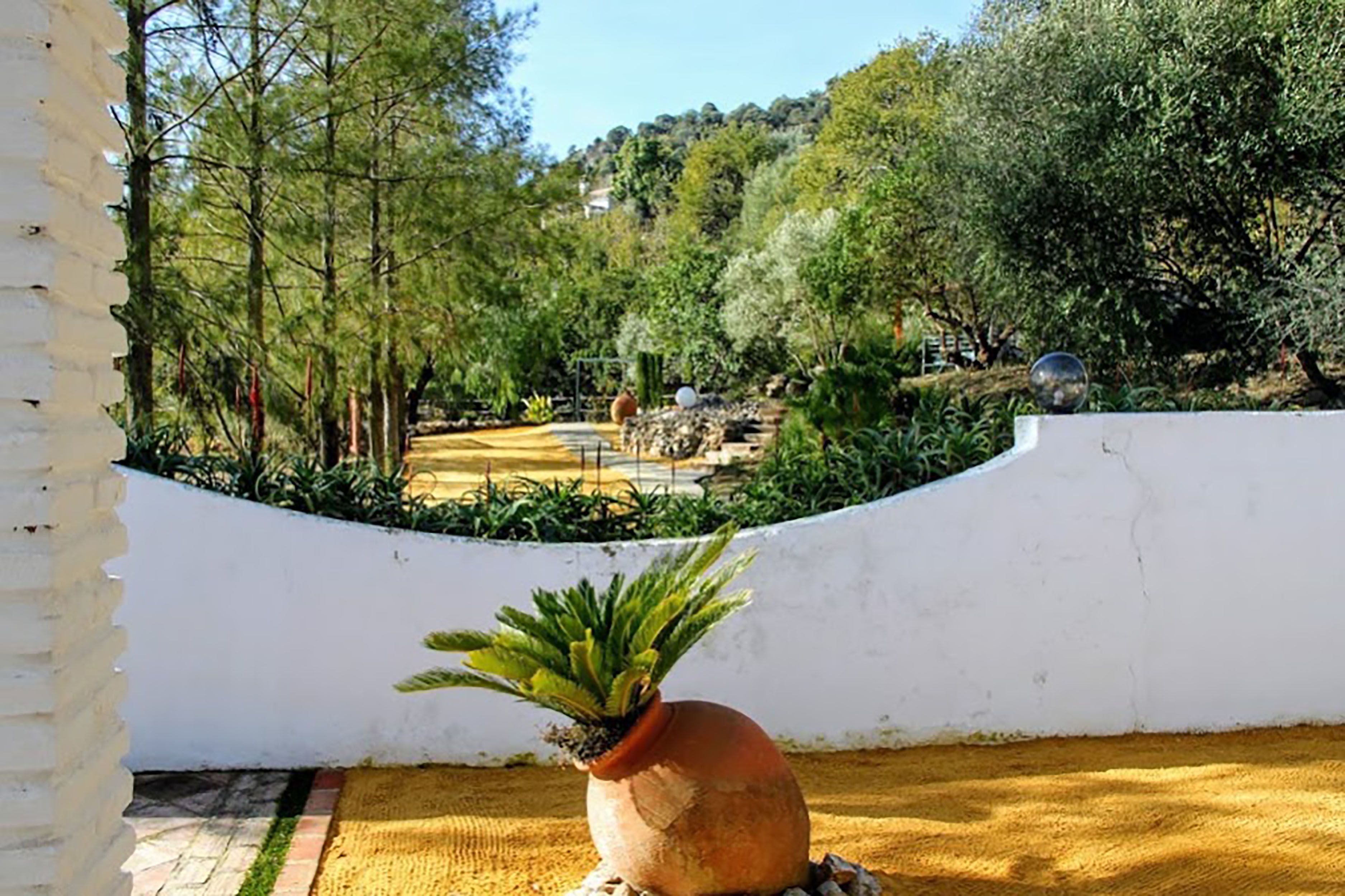 A courtyard with a white wall, a potted plant, and a view of a garden with trees and a hill in the background.