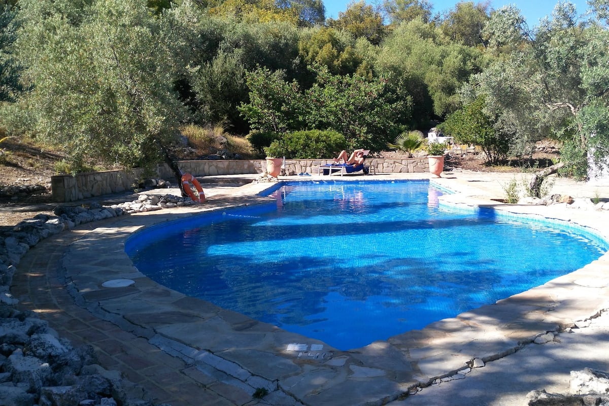 A swimming pool with a stone deck, surrounded by trees and a stone wall.