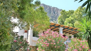 Un edificio blanco con una pérgola de madera, rodeado de exuberante follaje y flores rosadas.
