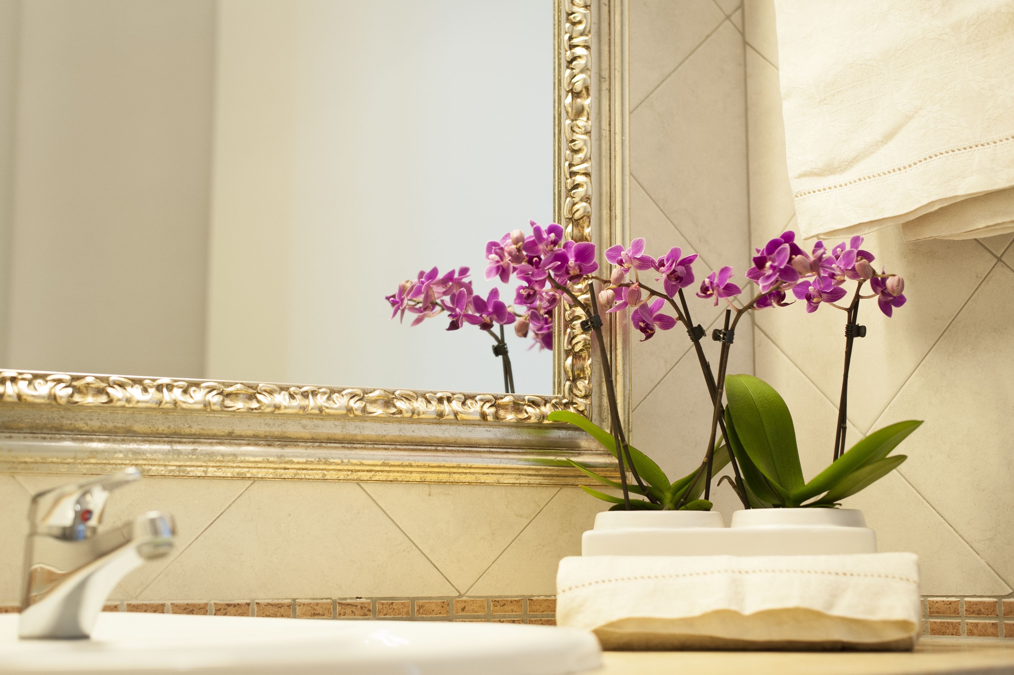 Foto - Eden Park Resort