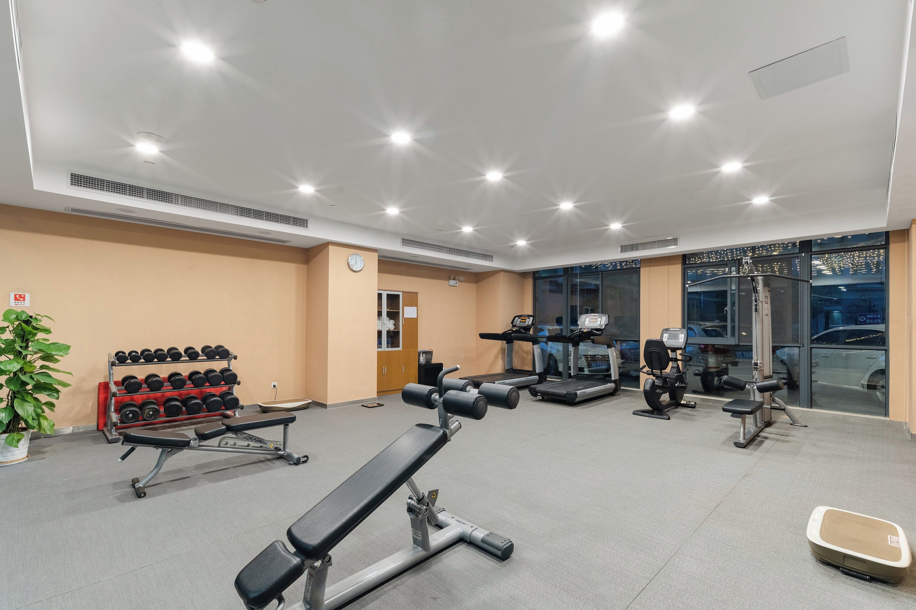 Un gimnasio con cintas de correr, mancuernas y bancos.