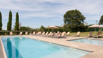 Seasonal outdoor pool, pool umbrellas, pool loungers