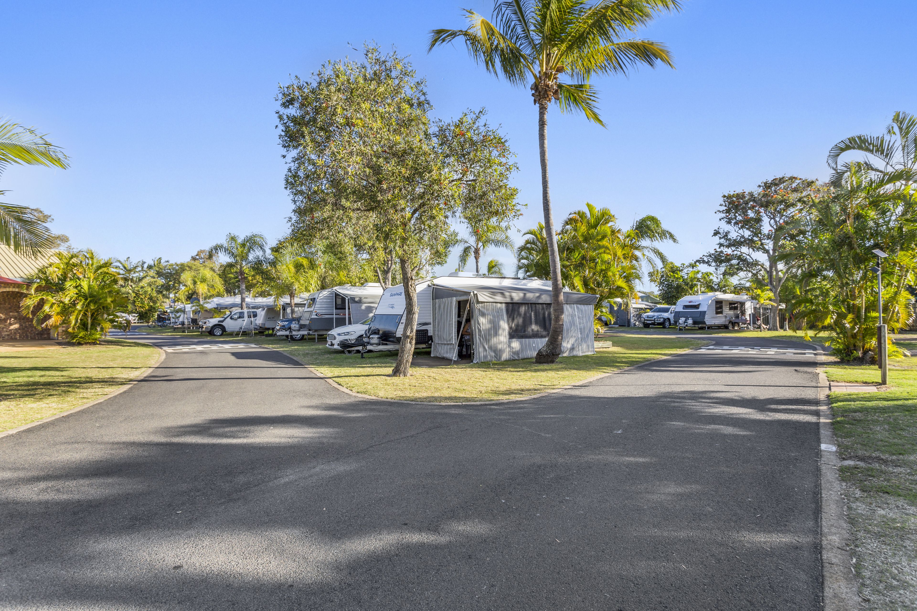 Un camping con vehículos recreativos estacionados a lo largo de una carretera pavimentada, rodeado de palmeras y vegetación.