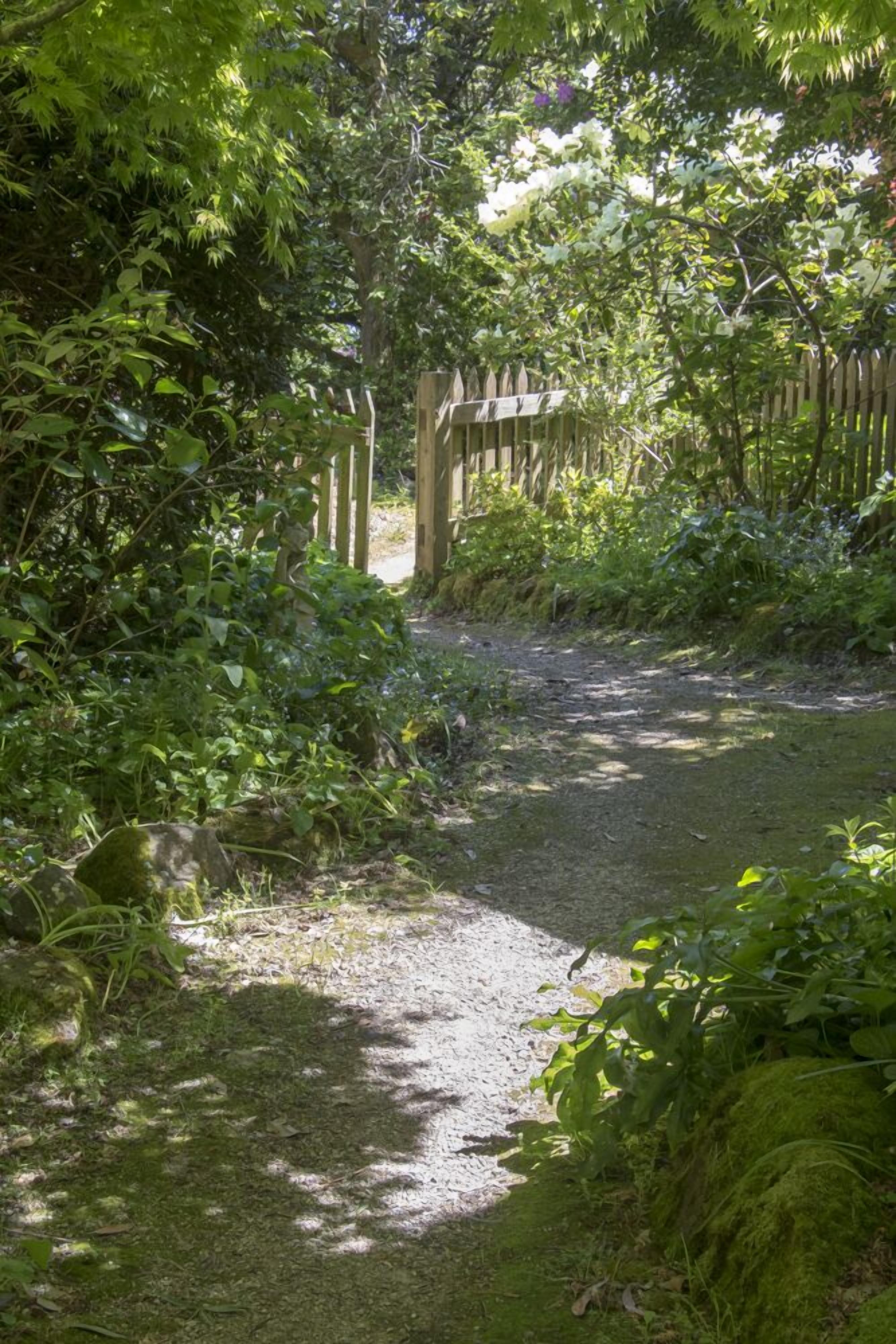 Un sentier étroit et non pavé, bordé d’une végétation dense et d’une clôture en bois.