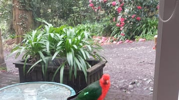 Un loro rojo posado en una silla metálica frente a una puerta de vidrio.