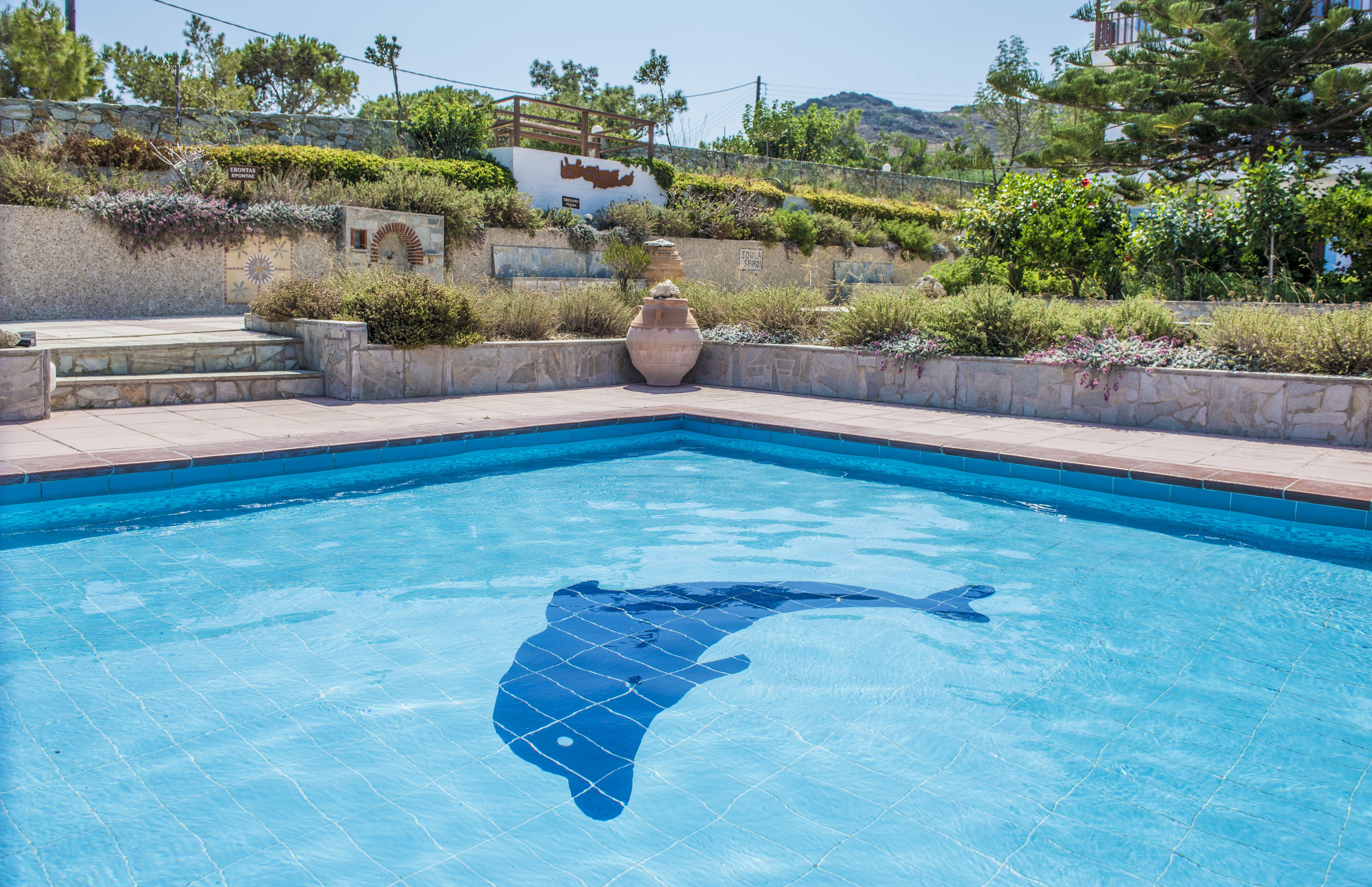 A clear blue swimming pool with a dolphin-shaped tile design, surrounded by stone steps and lush greenery.