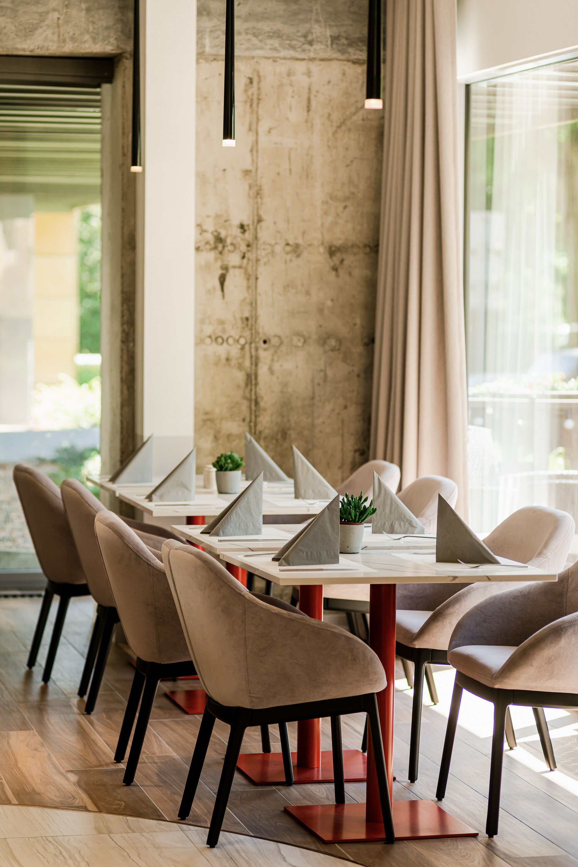 A modern dining area with a long table, multiple chairs, and a potted plant.