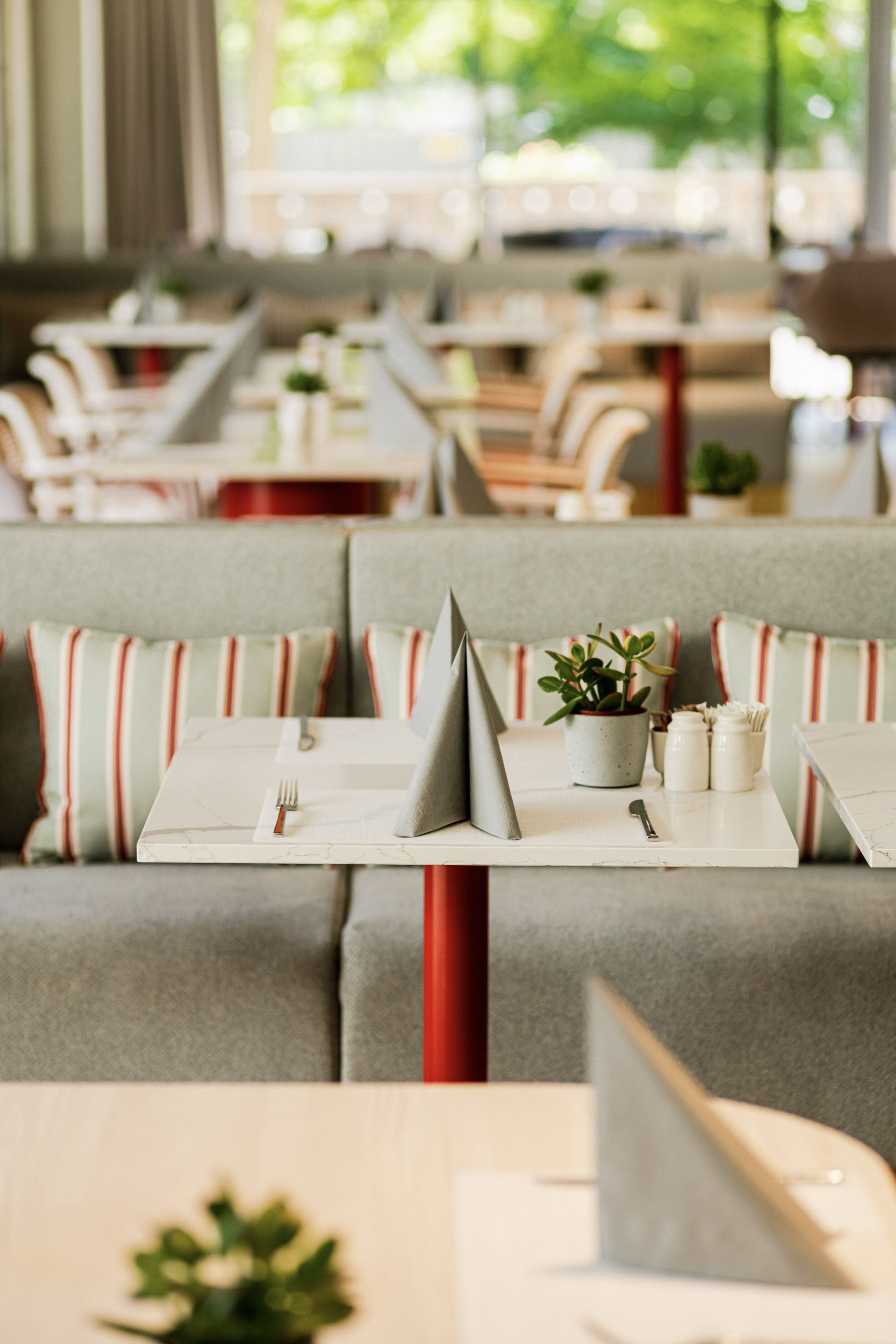 Un restaurant avec des banquettes et des tables, chacune agrémentée d’une plante, d’un salier et d’un poivrier, ainsi que d’une fourchette posée sur la table.