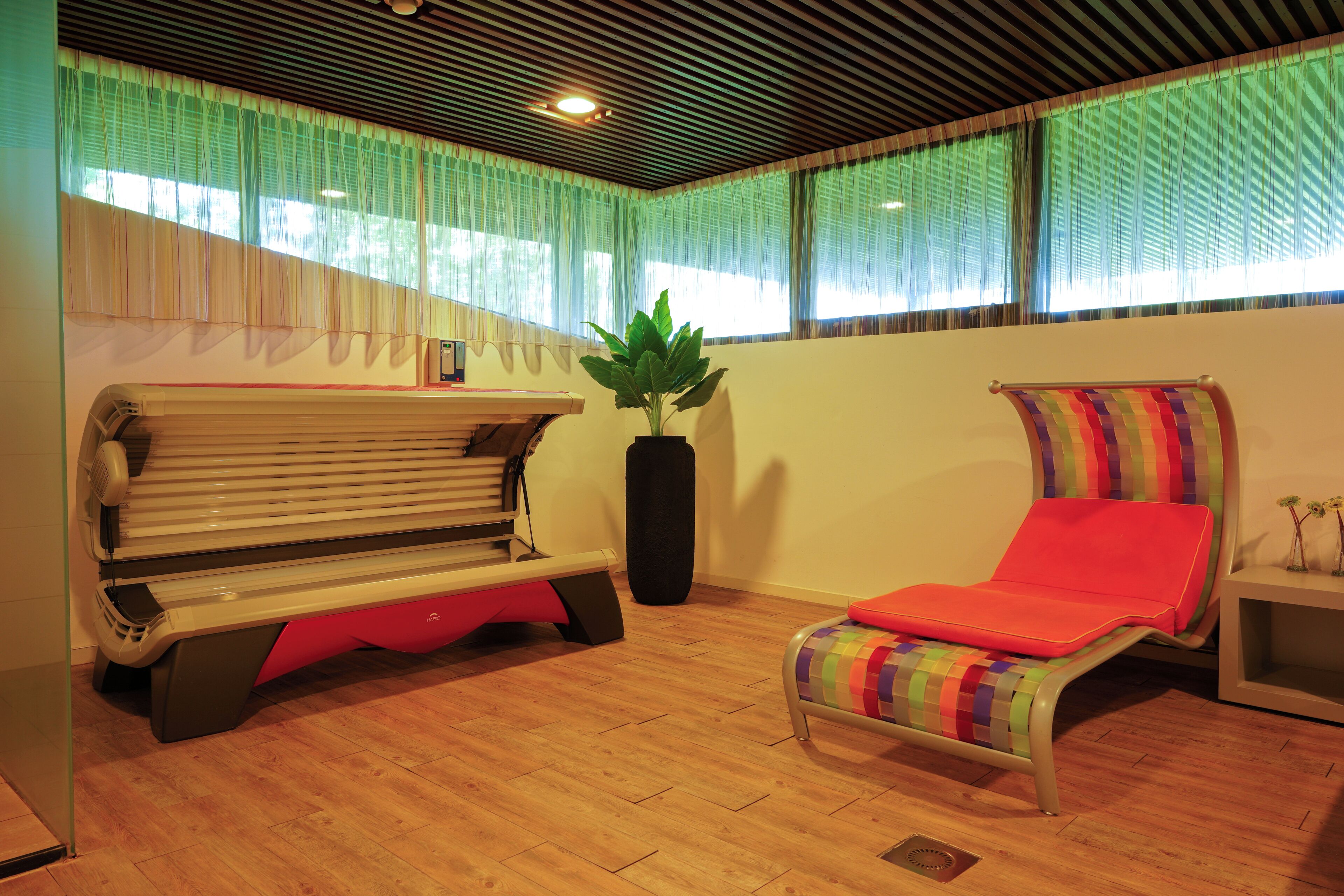A room with a wooden bench, a colorful lounge chair, a potted plant, and a window with sheer curtains.