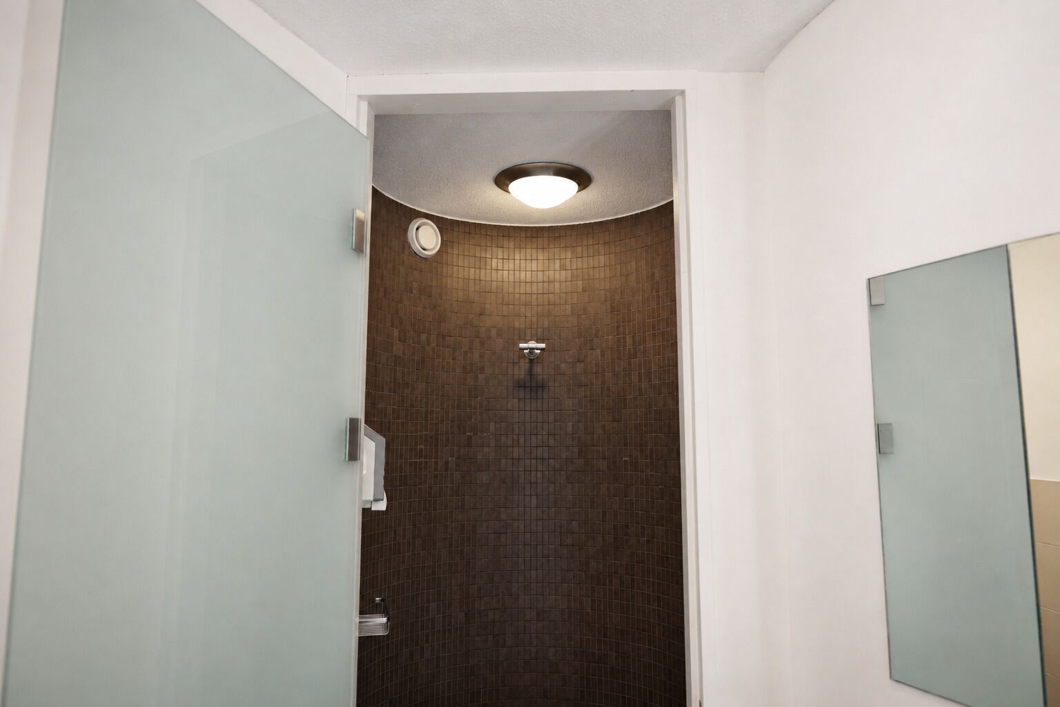 Ein schmales Badezimmer mit Dusche, Toilette und Spiegel.