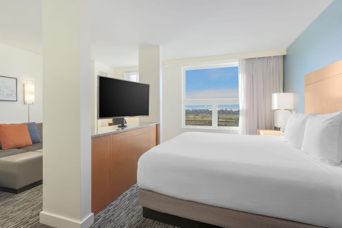 A hotel room with a large bed, a flat-screen TV, a desk with a lamp, and a view of the outdoors.