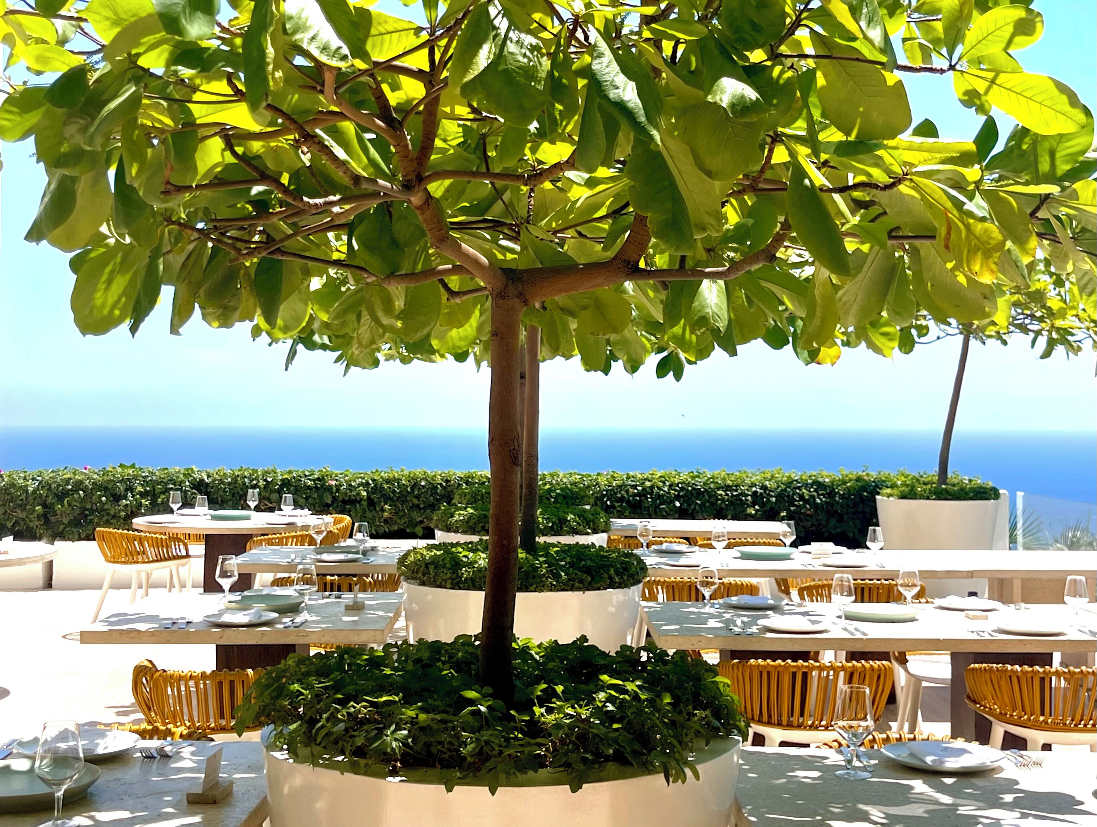 An outdoor dining area with tables and chairs, surrounded by greenery and overlooking the sea.