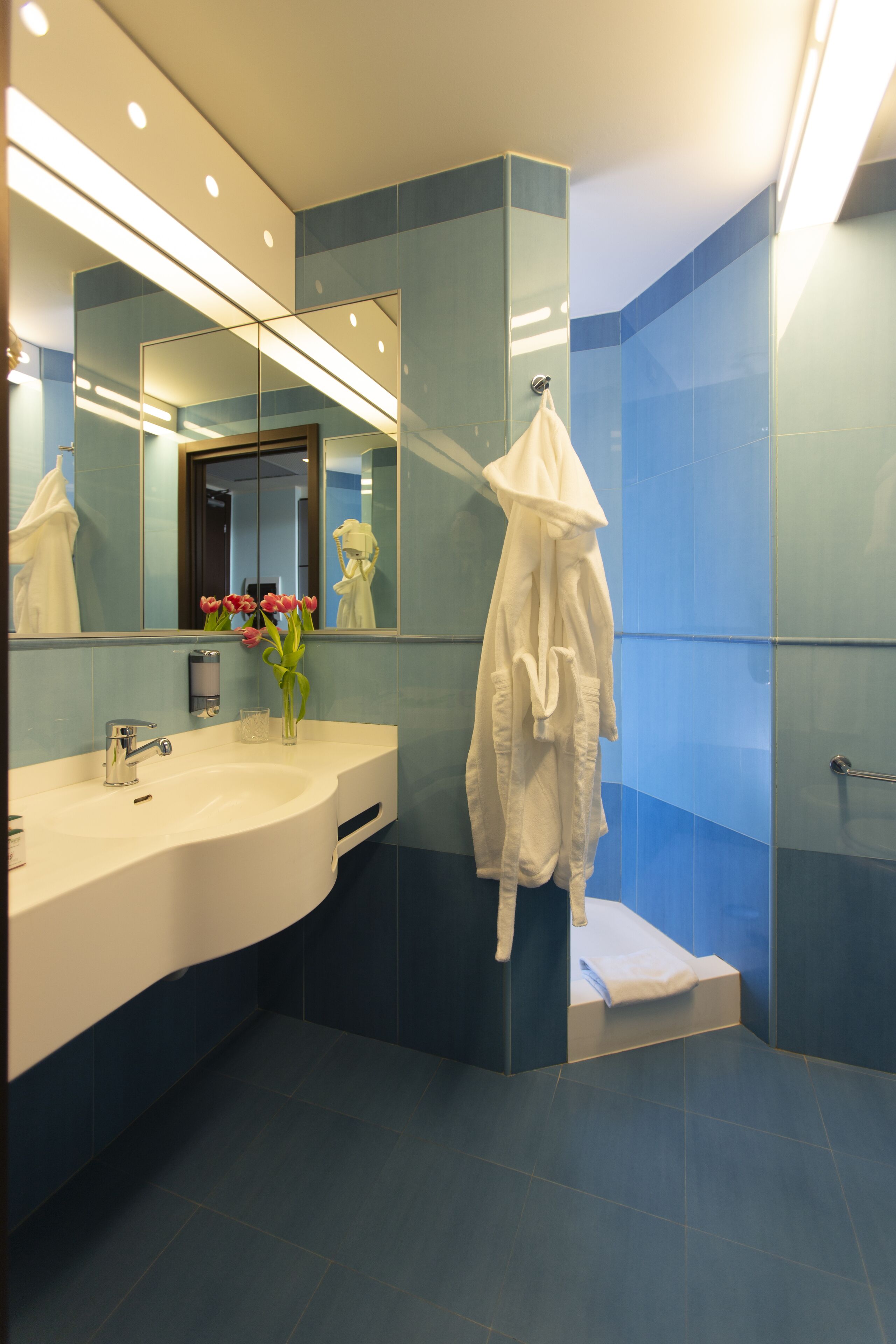 shower, rainfall showerhead, hair dryer, bidet