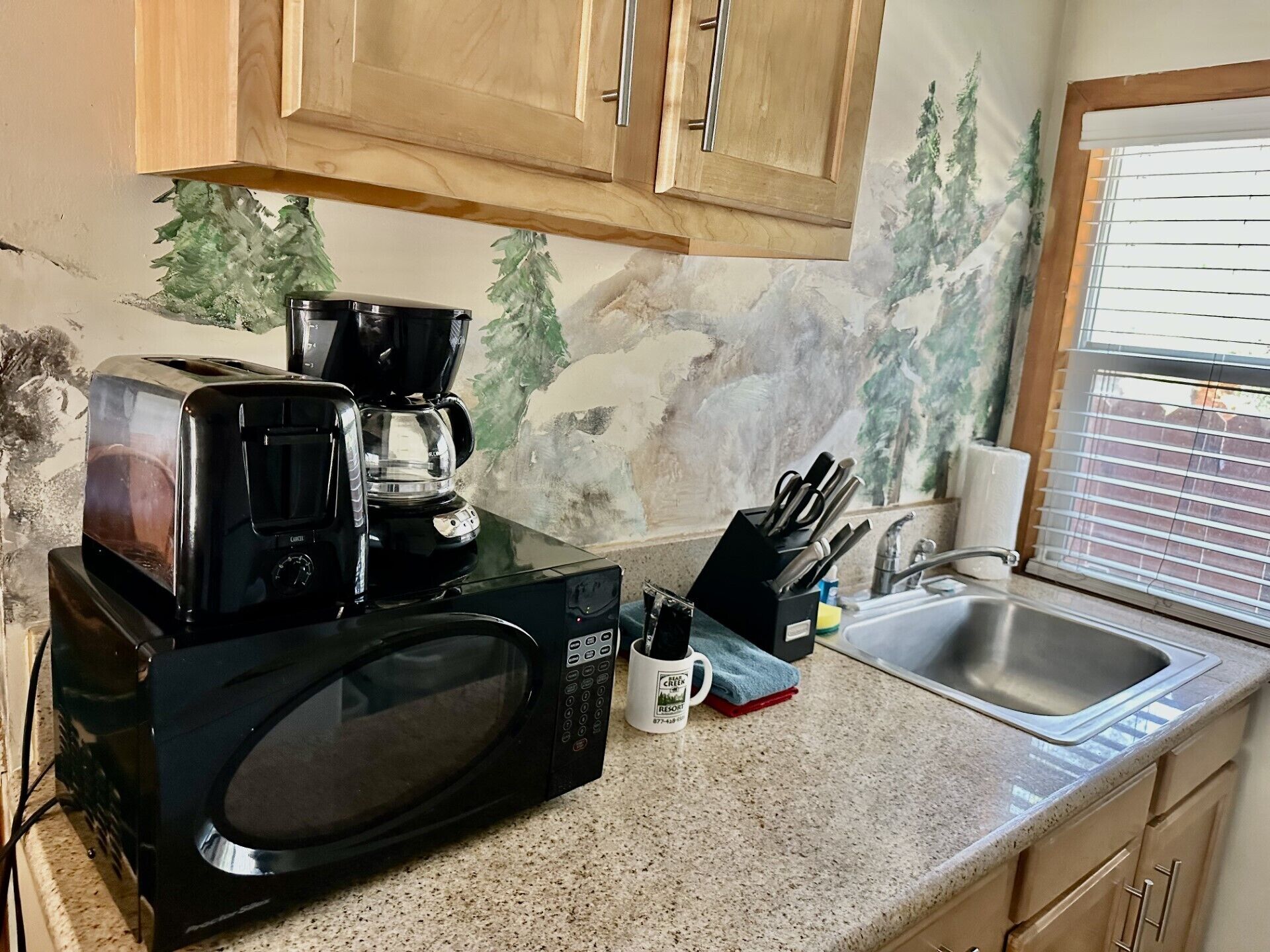 Eine Küche mit Toaster, Kaffeemaschine, Mikrowelle, Spüle und Holzschränken.