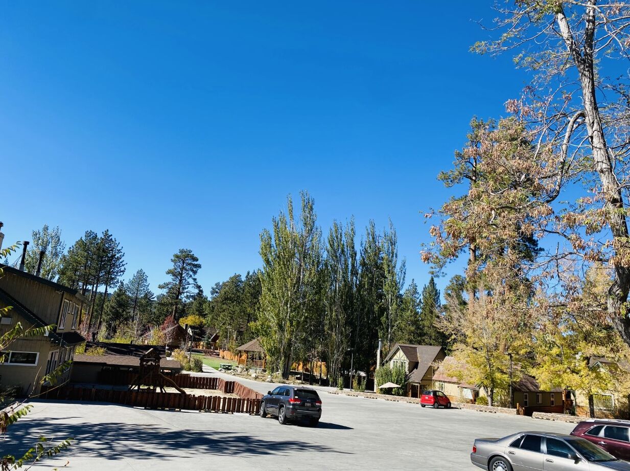 Une rue résidentielle bordée de maisons, de voitures garées et d’arbres.
